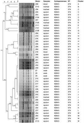 Emergence of NDM-5 Producing Carbapenem-Resistant Klebsiella aerogenes in a Pediatric Hospital in Shanghai, China